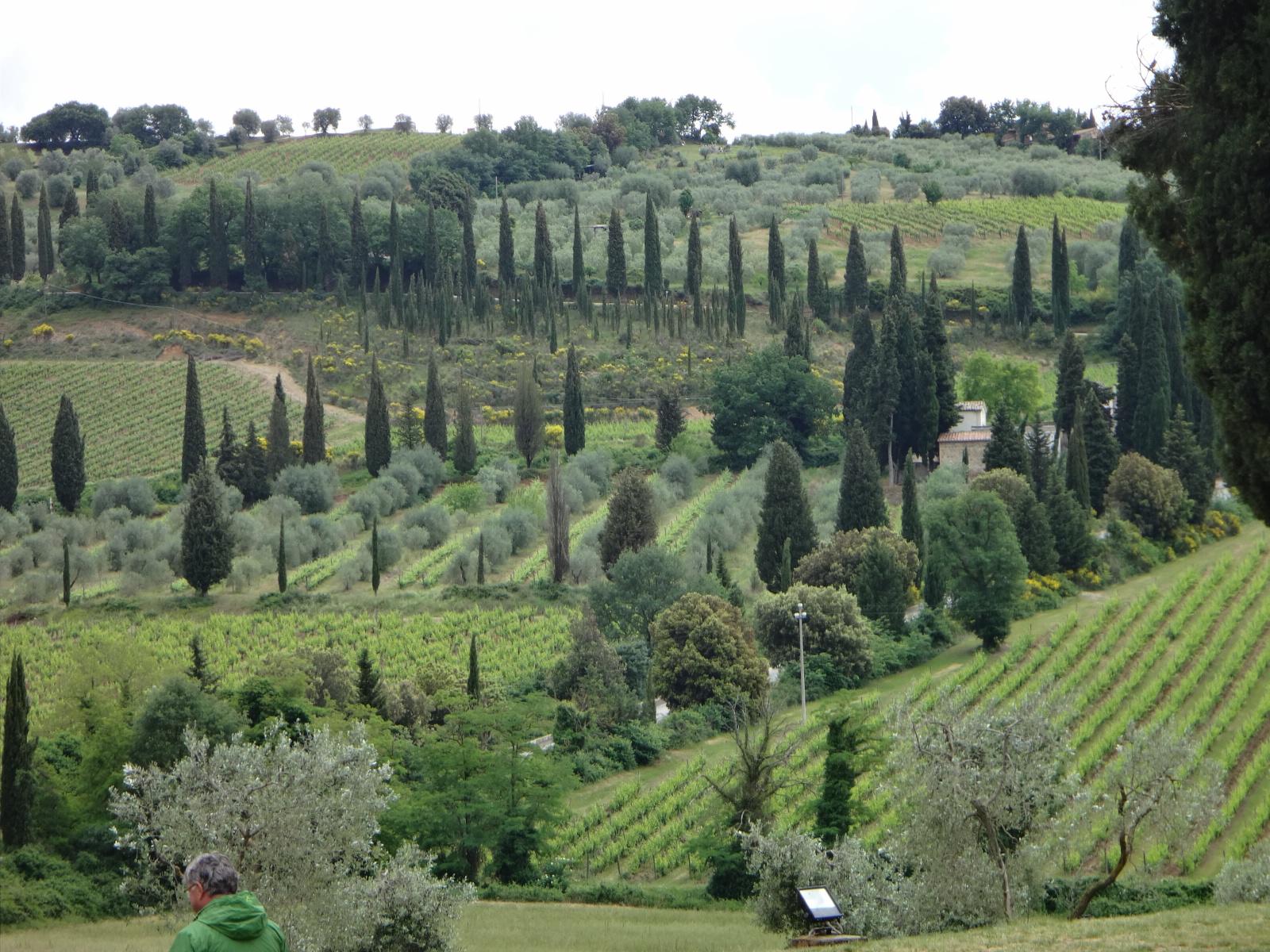 Italy - Venice, the Cinque Terre, and Tuscany 1 DSC00237 1