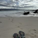 IMG 4899