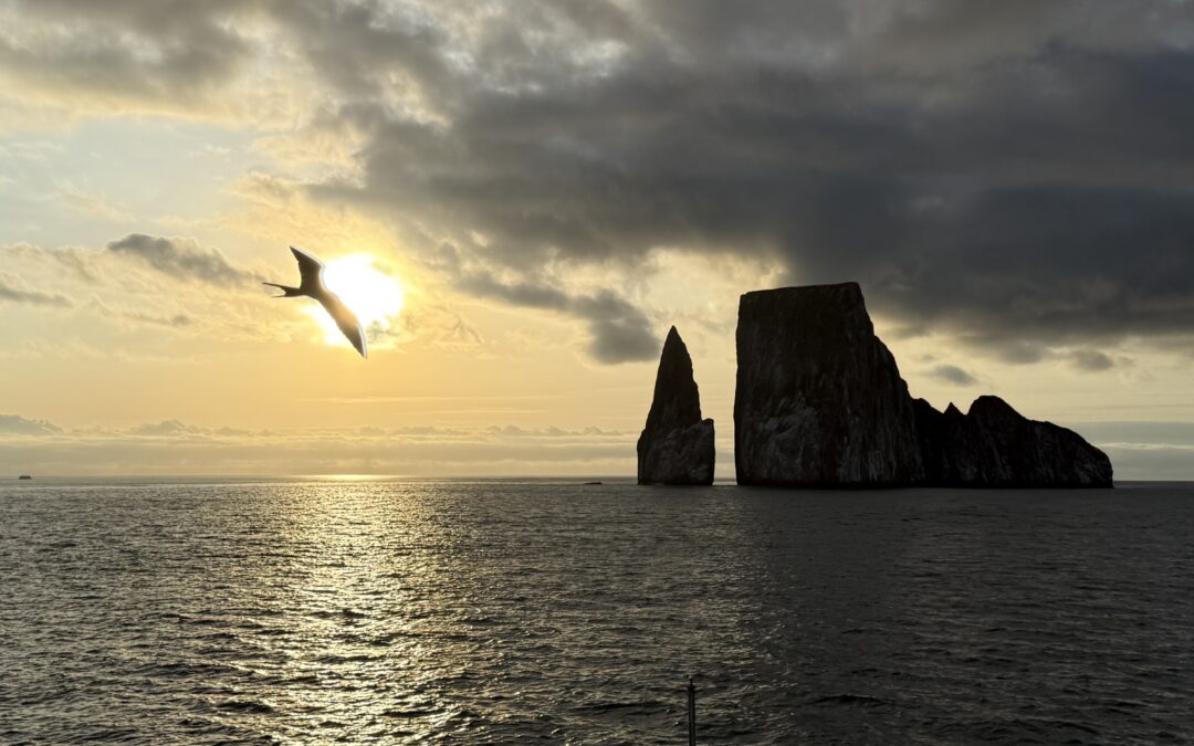 Galapagos Unveiled: A Nat Hab Adventure, Part Two