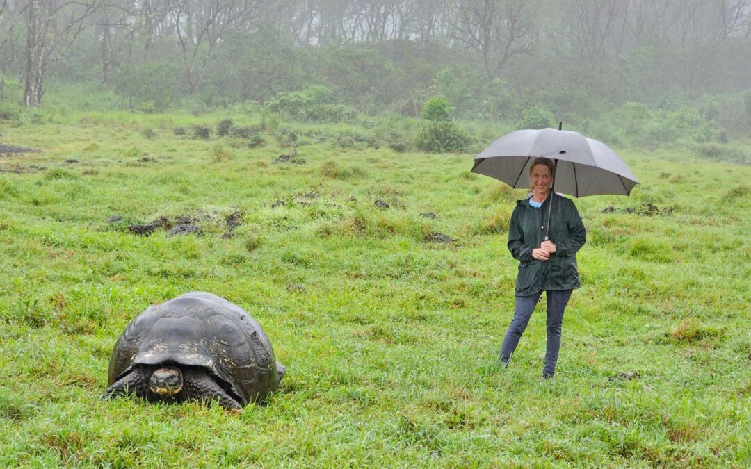 Galapagos Part 3: Lonesome George, Best Snorkeling in the World, and Bird Sex