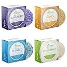 Solid Shampoo/Conditioner Combo Bars 1 Solid Shampoo/Conditioner Combo Bars