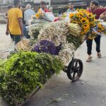 Mumbai in Contrast Part 1: Dawn Markets, Dabbawalas, Dhobi Ghat, and the City at Work 49 IMG 3619
