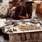 Mumbai in Contrast Part 1: Dawn Markets, Dabbawalas, Dhobi Ghat, and the City at Work 53 IMG 3659