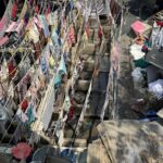 Mumbai in Contrast Part 1: Dawn Markets, Dabbawalas, Dhobi Ghat, and the City at Work 64 IMG 3719