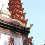 DSC 0118
