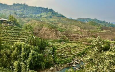 Sapa Travel Guide: Rice Terraces, Mountain Villages & Is It Worth the Trip?