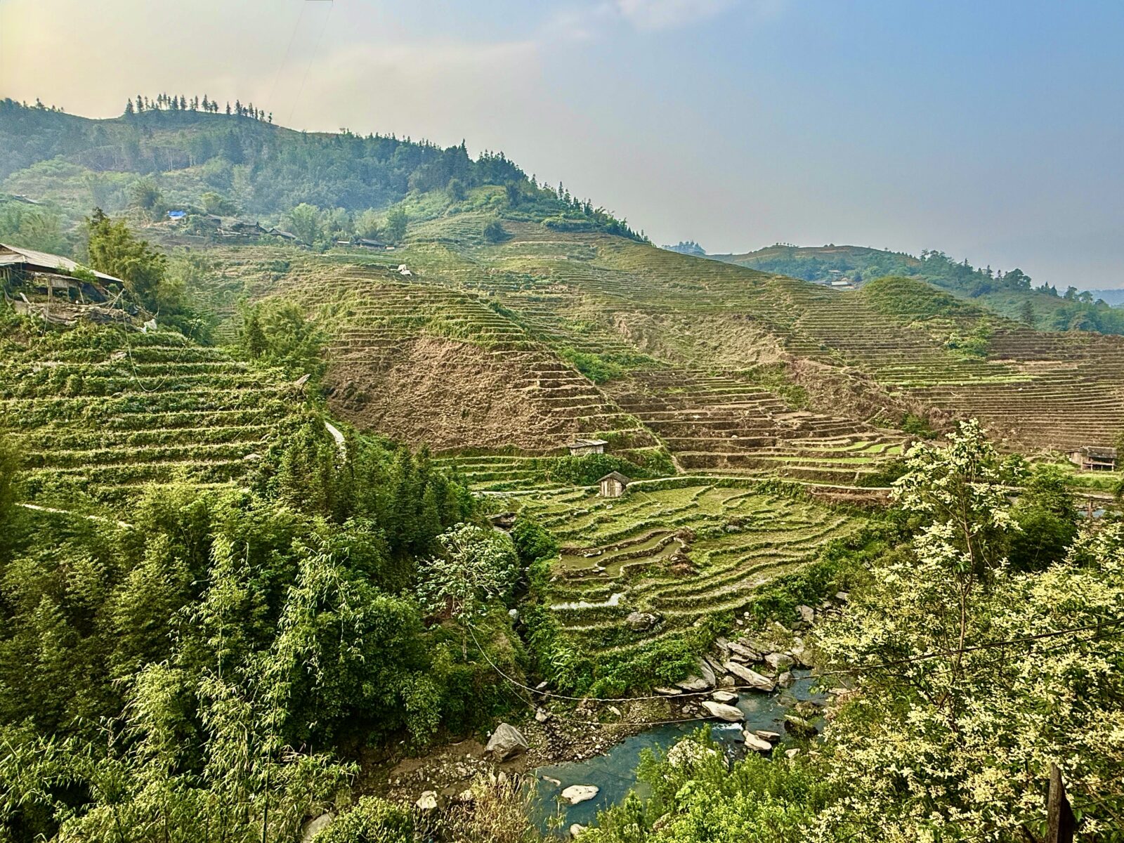 Rice Terraces Rice Terraces near Sa Pa Vietnam