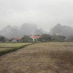 IMG 7542